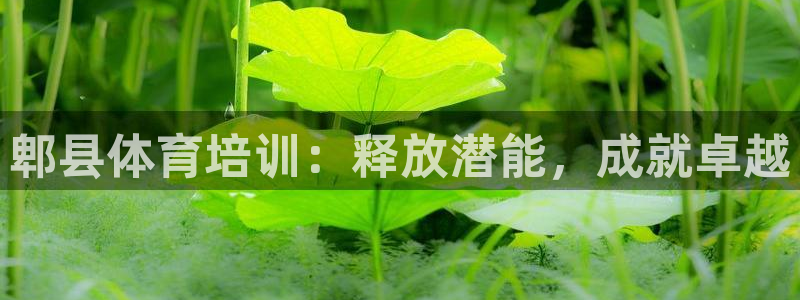 耀世平台代理：郫县体育培训：释放潜能，成就卓越