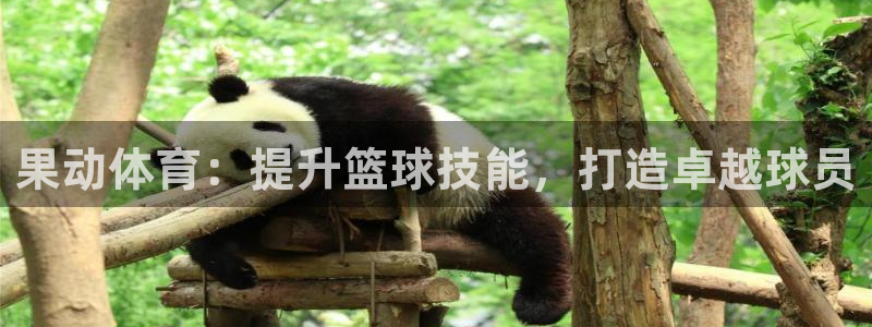 耀世国际平台正规吗安全吗可信吗：果动体育：提升篮球技
