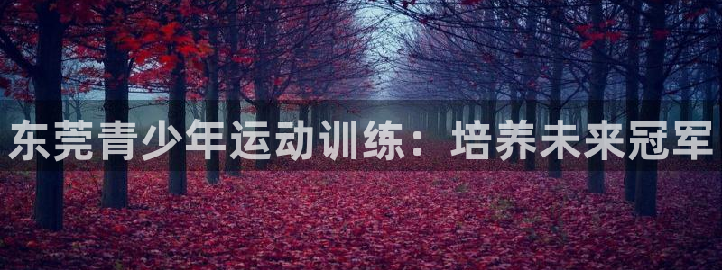 耀世天下：东莞青少年运动训练：培养未来冠军