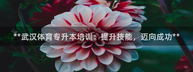 耀世集团视频直播：**武汉体育专升本培训：提升技能，
