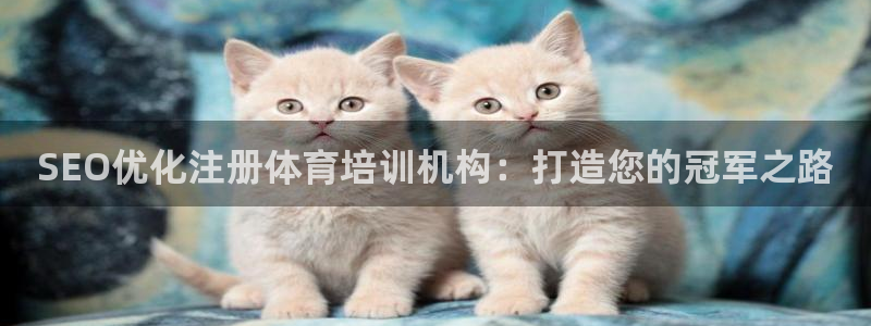 耀世平台的运营模式有哪些：SEO优化注册体育培训机构