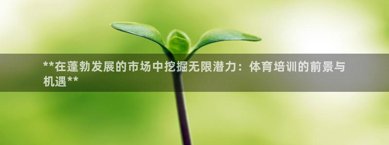 耀世娱乐总代：**在蓬勃发展的市场中挖掘无限潜力：体