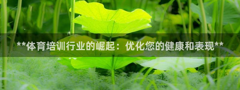耀世盛典手游：**体育培训行业的崛起：优化您的健康和