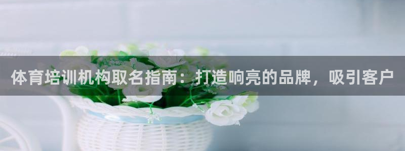 耀世游戏：体育培训机构取名指南：打造响亮的品牌，吸引