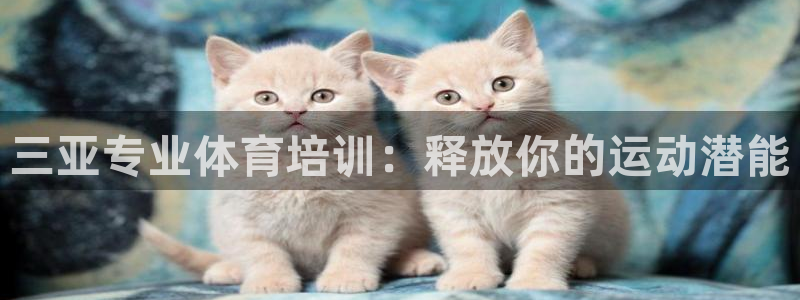 耀世娱乐几6.7.5.1.3.8：三亚专业体育培训：