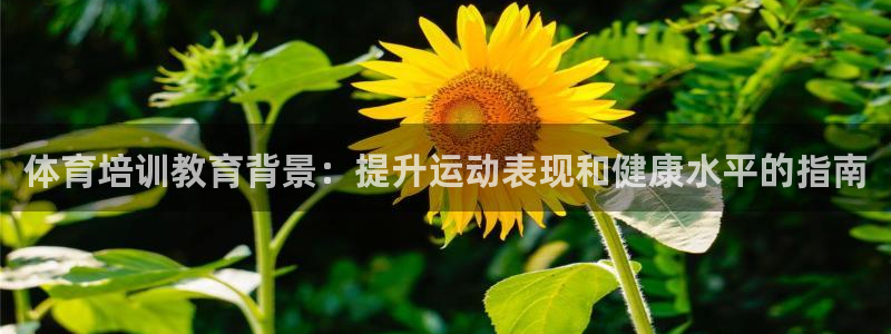 耀世平台梦 5O6917 平台：体育培训教育背景：提