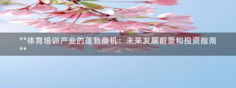 耀世啥意思：**体育培训产业的蓬勃商机：未来发展前景