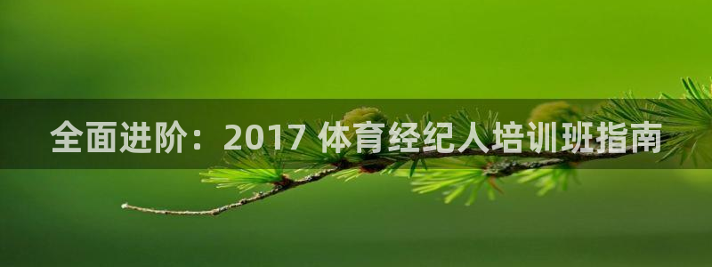 耀世平台总代理在哪：全面进阶：2017 体育经纪人培