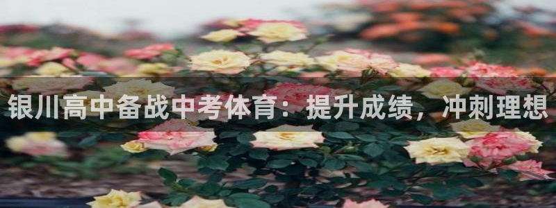 耀世娱乐佳 411O31 耀世：银川高中备战中考体育