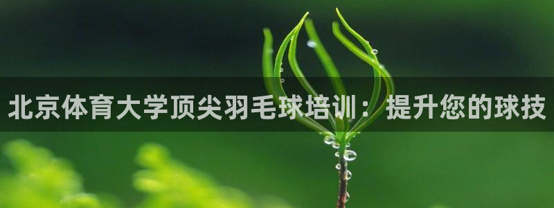 耀世娱乐安全吗知乎：北京体育大学顶尖羽毛球培训：提升