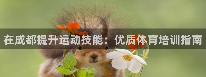 耀世娱乐注册官网账号：在成都提升运动技能：优质体育培