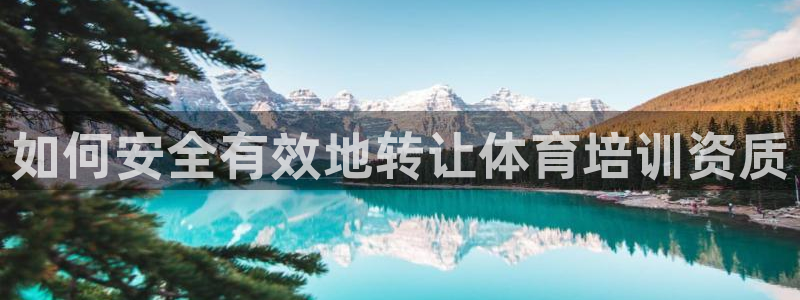 耀世平台注册网址是多少：如何安全有效地转让体育培训资