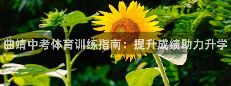 耀世娱乐建3.3.4.8.2 主管：曲靖中考体育训练