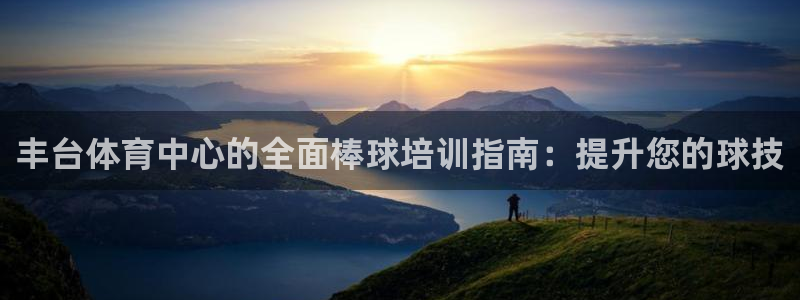 耀世集团是干嘛的企业啊怎么样：丰台体育中心的全面棒球