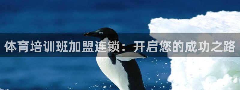 耀世娱乐骗局揭秘：体育培训班加盟连锁：开启您的成功之