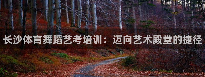 耀世平台注册链接：长沙体育舞蹈艺考培训：迈向艺术殿堂