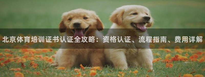 耀世平台负责人怎么样：北京体育培训证书认证全攻略：资