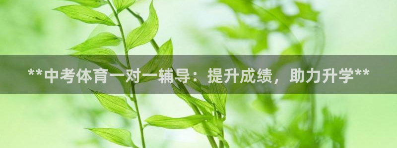 耀世平台开户要求：**中考体育一对一辅导：提升成绩，