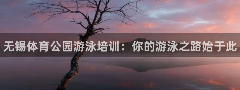 耀世出行：无锡体育公园游泳培训：你的游泳之路始于此