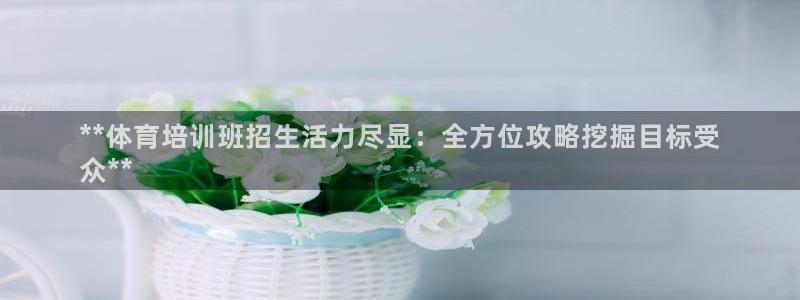 耀世挑战怎么过：**体育培训班招生活力尽显：全方位攻