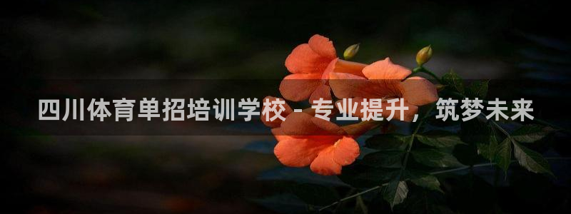 耀世平台会员中心在哪：四川体育单招培训学校 - 专业