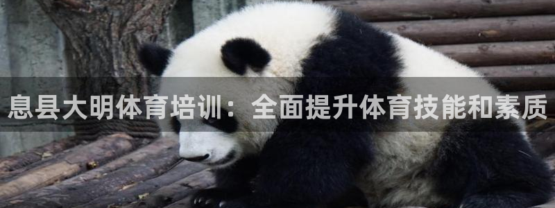 耀世平台嗯 5o69I7：息县大明体育培训：全面提升