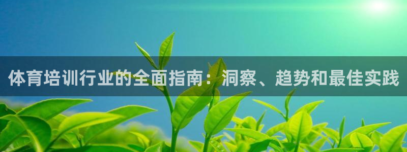 耀世娱乐平台官网登录不了了：体育培训行业的全面指南：