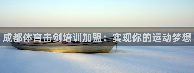 耀世挑战怎么打：成都体育击剑培训加盟：实现你的运动梦