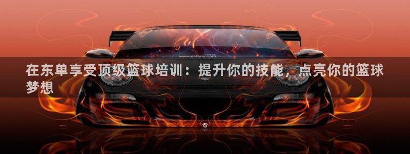 耀世国际集团：在东单享受顶级篮球培训：提升你的技能，