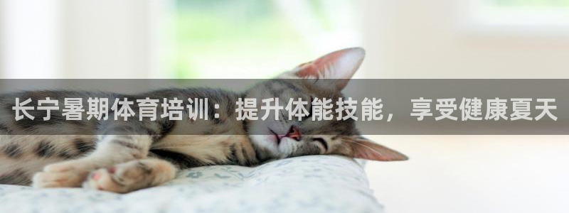 耀世娱乐返点多少钱：长宁暑期体育培训：提升体能技能，