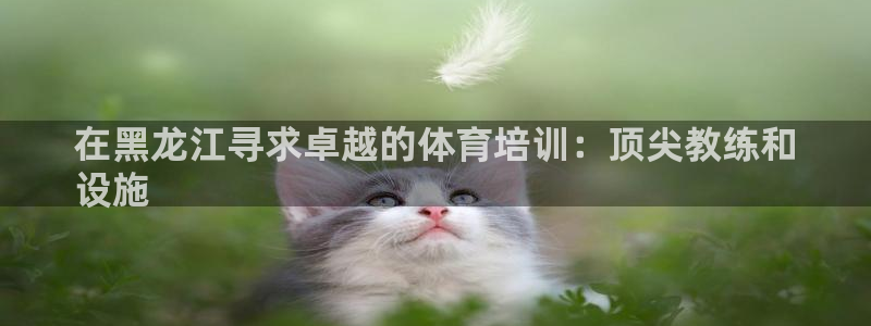 耀世而出：在黑龙江寻求卓越的体育培训：顶尖教练和
设