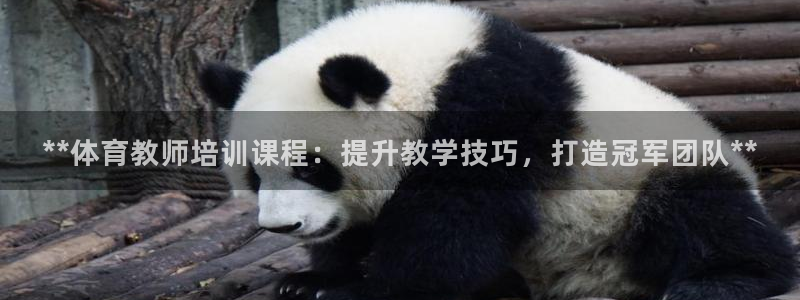 耀世金生产品好吗：**体育教师培训课程：提升教学技巧