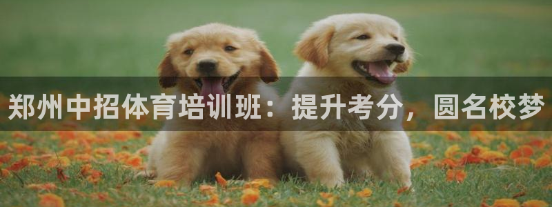 耀世平台寇 5O6917 耀世：郑州中招体育培训班：