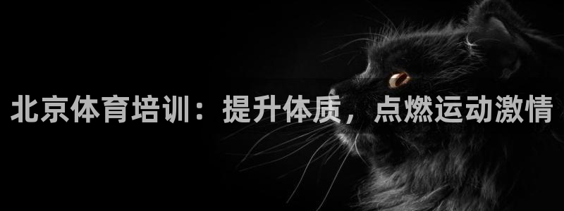 耀世传说：北京体育培训：提升体质，点燃运动激情
