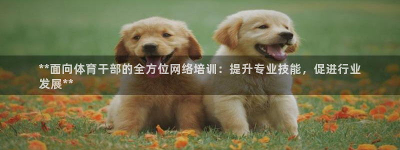 耀世娱乐黑钱吗是真的吗：**面向体育干部的全方位网络