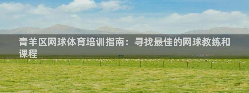 耀世来袭什么意思：青羊区网球体育培训指南：寻找最佳的