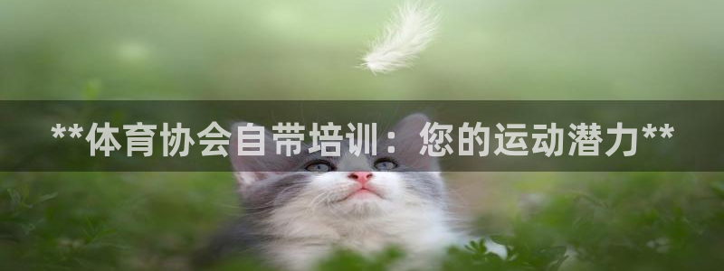 耀世登场的近义词：**体育协会自带培训：您的运动潜力