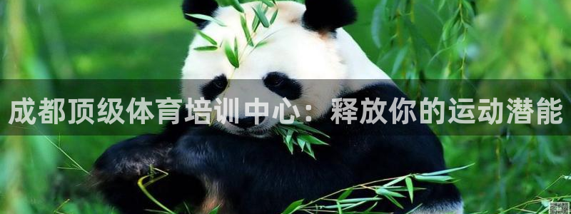 耀世娱乐是玛雅旗下的吗是真的吗：成都顶级体育培训中心