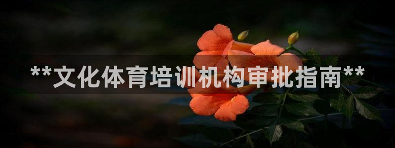 耀世第二关：**文化体育培训机构审批指南**