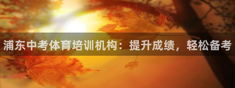 耀世雷霆官方版：浦东中考体育培训机构：提升成绩，轻松