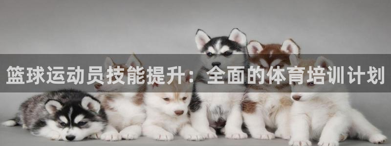耀世娱乐注册官网网址：篮球运动员技能提升：全面的体育