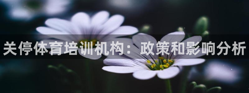 耀世平台代理多少钱：关停体育培训机构：政策和影响分析