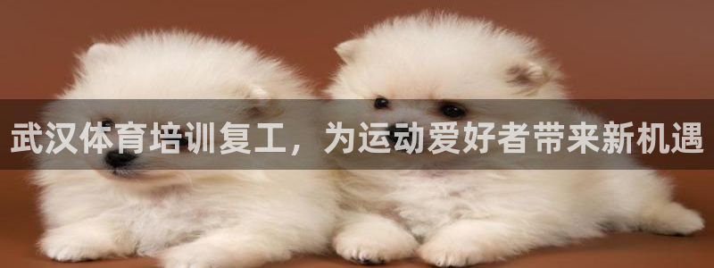 耀世娱乐是正规还是仿：武汉体育培训复工，为运动爱好者