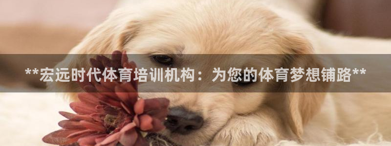 耀世平台人才：**宏远时代体育培训机构：为您的体育梦