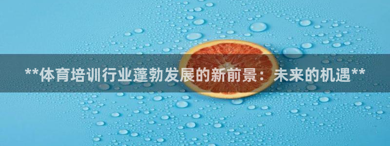 耀世娱乐合法吗：**体育培训行业蓬勃发展的新前景：未