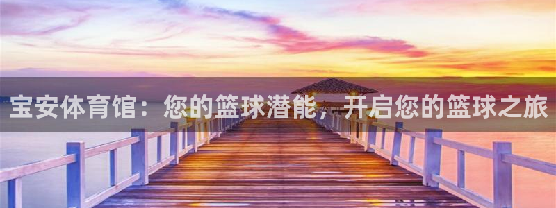 耀世娱乐是个什么平台：宝安体育馆：您的篮球潜能，开启