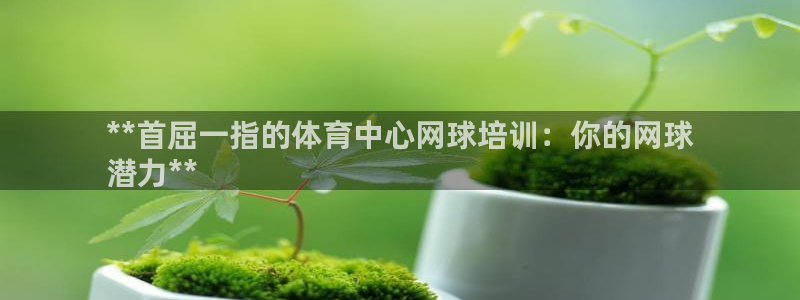 耀世娱乐平台注册地址在哪里找：**首屈一指的体育中心