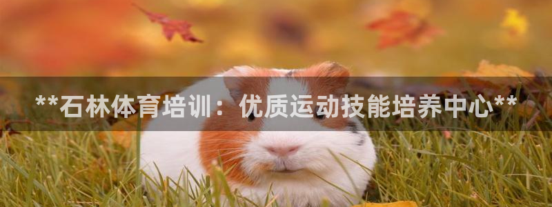 耀世娱乐在线登录官网入口下载：**石林体育培训：优质
