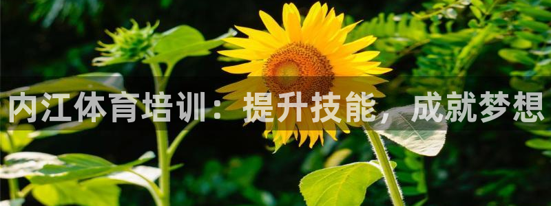 耀世平台先 58534I 耀世：内江体育培训：提升技