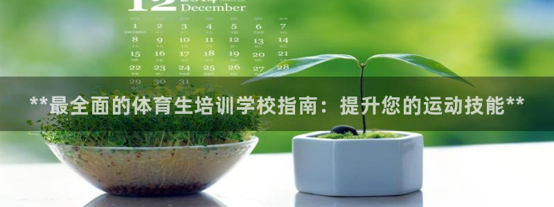 耀世平台代理怎么样：**最全面的体育生培训学校指南：